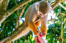 Monkeyland & Plantation Safari Full Day from Juan Dolio