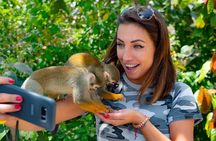 Monkeyland & Plantation Safari Full Day from Juan Dolio