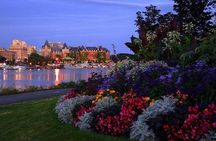 Gourmet Dinner Tour Including Local Beer, Wine and City Highlights