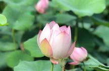 Private Customized Macau Day Tour from Hong Kong