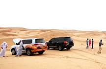 Abu Dhabi Morning Safari