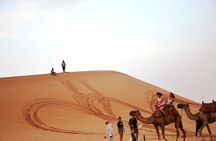 Abu Dhabi Morning Safari