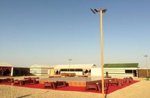 Abu Dhabi Morning Safari