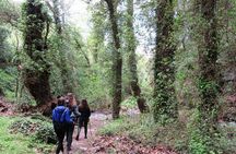 HIDDEN GEMS - RICHTIS GORGE for nature lovers!