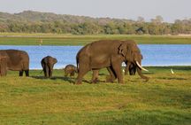 Private Jeep Safari To one of a Best National Park