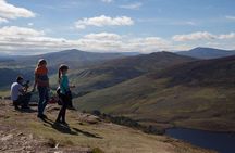The Original Award Winning Wild Wicklow Tour incl. Glendalough