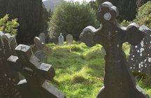 The Original Award Winning Wild Wicklow Tour incl. Glendalough