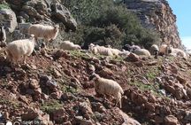 Lasithi –Plateau Traditional Vilages