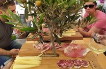 Secret vineyards E-bike tour