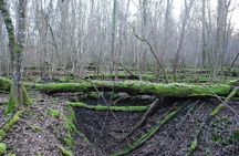 World War 1 Walk Through Trenches and Bunkers