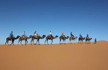 Desert Tour From Fez To Marrakech 3 Days / 2 Nights 
