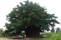 Your private driver & tour guide in Senegal-the shell island