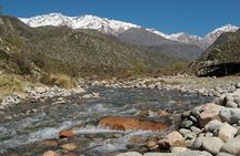 Andes High Mountain Tour in Mendoza