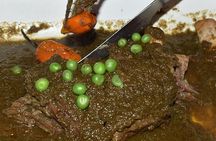4 iconic restaurants of Lima / 3-hour guided food tour