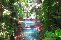 Escape to Enchanting Hidden Valley Springs! with Transfers***