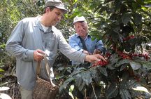 Coffee Farm Experience: 1-Day Coffee Tour from Cusco