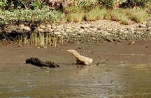 Private Bandar Highlight, Water Village & Proboscis Monkey Tour