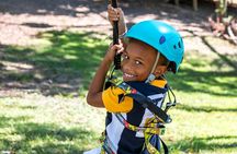Wetland Zip Tour