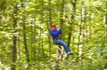 Wetland Zip Tour