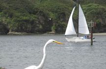 Private Sailing Tour of Bodega Bay