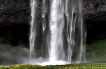 South Iceland Tour of Waterfalls, Black Sand Beaches & Dyrholaey