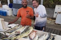Miami Half Day Deep Sea Fishing Trip from Bayside Marketplace