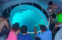 Isla Mujeres Day Tour with Beach Club and Buffet Lunch from Cancun