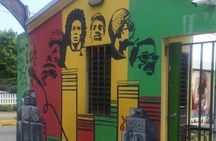 Bob Marley Museum and Devon House Kingston Private Day Tour