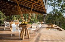 Luxury Coffee Plantation Private Tour (9 Hrs.)