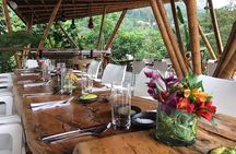 Luxury Coffee Plantation Private Tour (9 Hrs.)