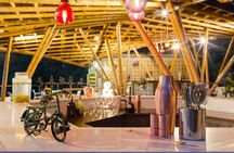 Luxury Coffee Plantation Private Tour (9 Hrs.)