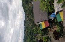 Nine Mile Bob Marley Mausoleum Transportation [ Birthplace ]