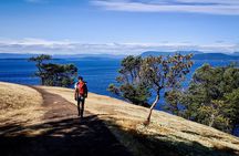 Full Day San Juan Island Kayaking Adventure