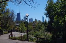 Chicago Amazing Lakefront Bike Tour