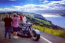  Shore Excursion: V8 Trike, Peninsula and City Tour