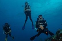 Fajardo 2-Tank Scuba Dive for Certified Divers Only