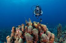 Fajardo 2-Tank Scuba Dive for Certified Divers Only