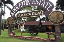 Appleton Estate Rum Tour [Transportation services]
