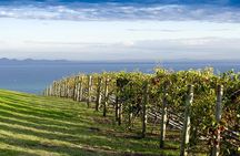 Around the Bay Food and Wine Taste Trail