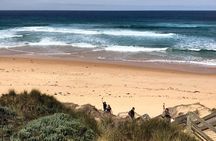 Phillip Island Penguins Private Adventure