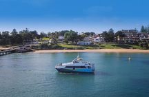 Phillip Island and French Island Wildlife Expedition