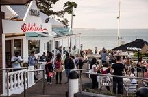 Phillip Island and French Island Wildlife Expedition