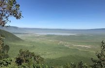 Discover Tanzania through the 3 wild classics