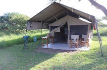 Discover Tanzania through the 3 wild classics