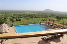Discover Tanzania through the 3 wild classics
