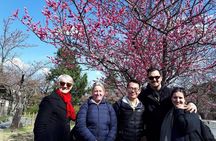 Kyoto Arashiyama Bamboo Forest & Scenery Customized Private Tour