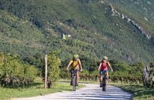 E-bike Vipava River Tour 