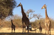 Your private driver & tour guide in Senegal-Reserve of Bandia