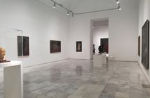 Visita privada en el Museo Reina Sofía con Entrada y Guía