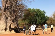 Your private driver & tour guide in Senegal-Reserve of Bandia